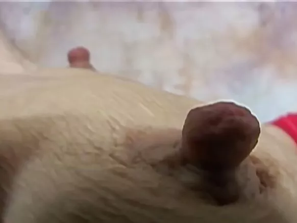 Tettes petites saggy, grands nipples saggy matures 4.
